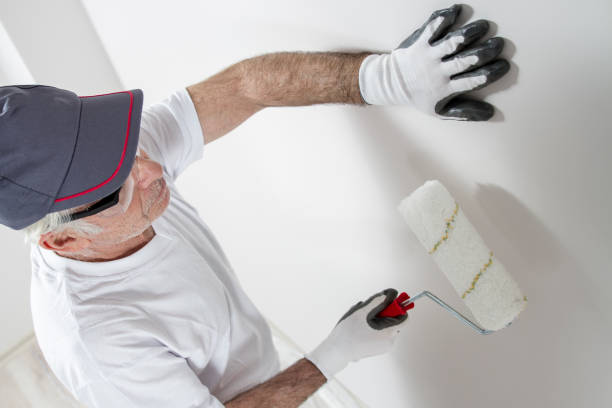 Best Mold Damage Restoration  in Walnut Creek, NC