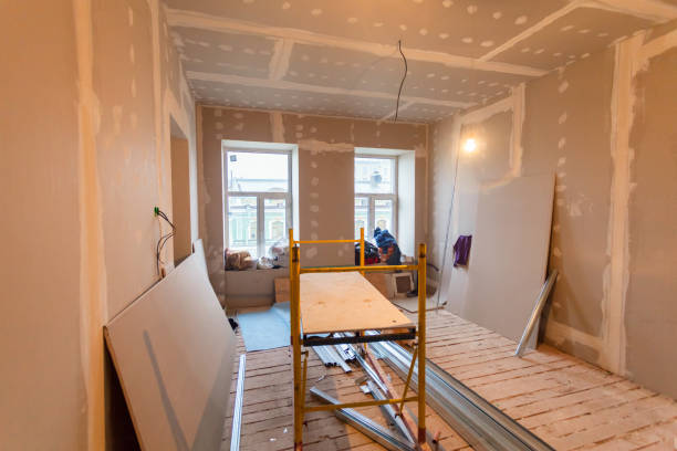 Best Basement Mold Removal  in Walnut Creek, NC